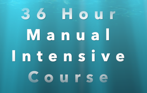 36 hour Driving course